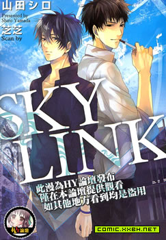 sky_link 预览图