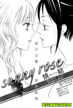 Sunny rose，百合 预览图