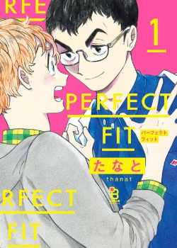 perfect fit 预览图