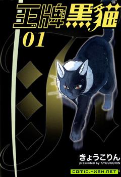 王牌黑猫 预览图