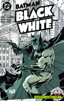 蝙蝠侠：黑白世界 预览图